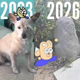 (End of) A Tale of 2 Dogs